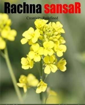 RACHNA SANSAR, MARCH 2016